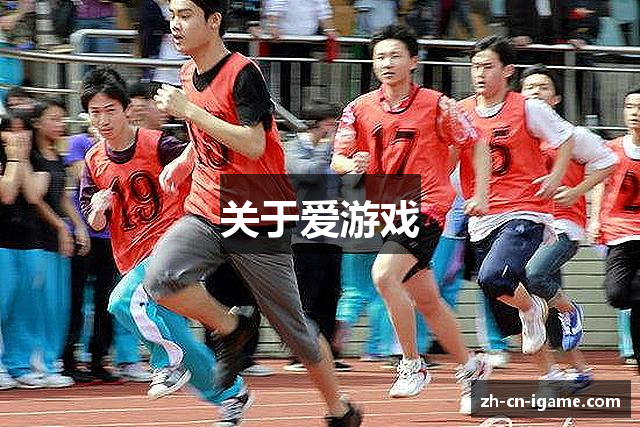关于爱游戏